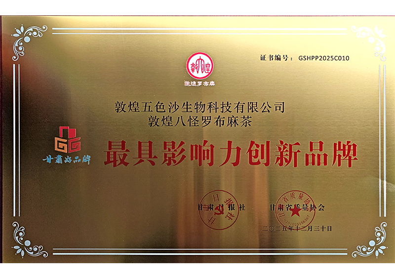 最具影响力创新品牌